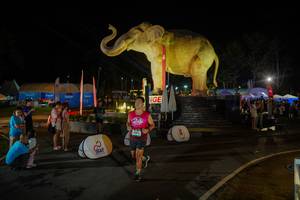 BIB: 
                            <button type="button" onclick="openModal(26552357)" class="btn btn-primary btn-sm float-right btn-popup" data-toggle="modal" data-target=".modal-high-quality">
                        <i class="fas fa-shopping-cart"></i> Add to Cart
                    </button>
                                            <button type="button" onclick="isThisMe(26552357, true)" class="btn btn-success btn-sm float-right btn-popup btn-isme hidden" data-toggle="tooltip" data-placement="bottom" title="นี่คือรูปของคุณใช่ไหม คลิกที่นี่เพื่อเอาเข้าอัลบั้ม">
                        <i class="fas fa-plus"></i> Add to album
                    </button>
                    <button type="button" onclick="isThisMe(26552357, false)" class="btn btn-warning btn-sm float-right btn-popup btn-isnotme hidden">
                        <i class="fas fa-ban"></i> Remove from album
                    </button>